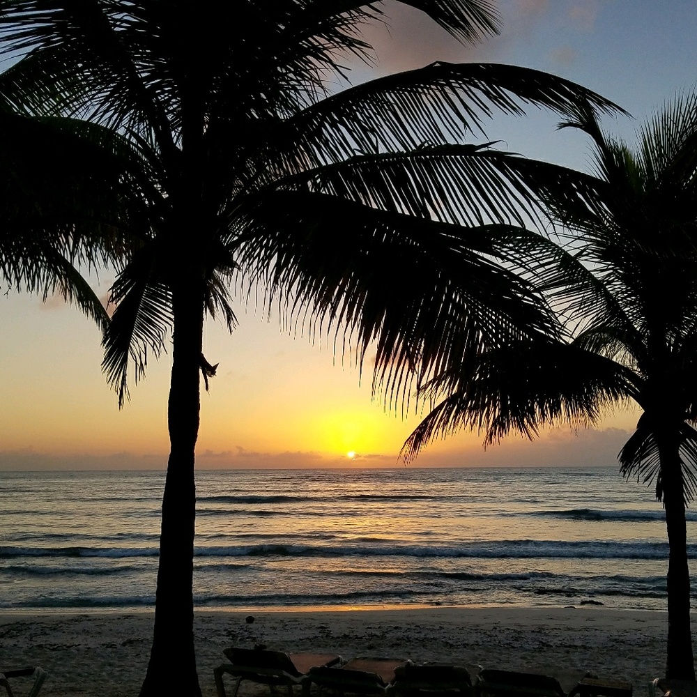 Meet your Posher, Janelle